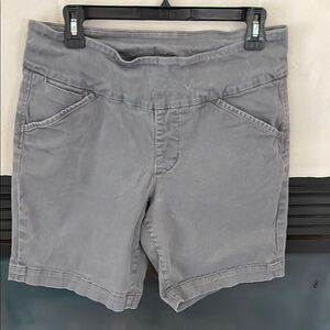 Jag Gray Casual Shorts
